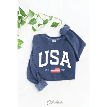 USA Est. 1776 mineral Graphic Sweatshirt